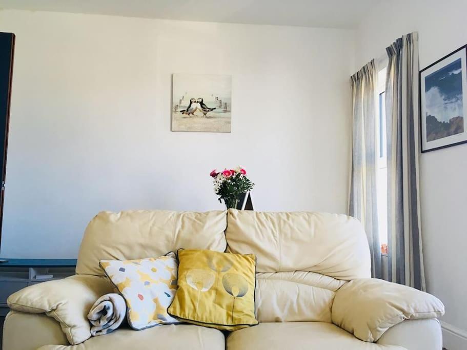 Hillcrest Cottage, Comfy Flat, Trendy Uplands Area Swansea Luaran gambar