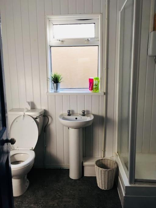 Hillcrest Cottage, Comfy Flat, Trendy Uplands Area Swansea Luaran gambar